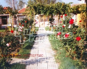   | Imot.bg    6