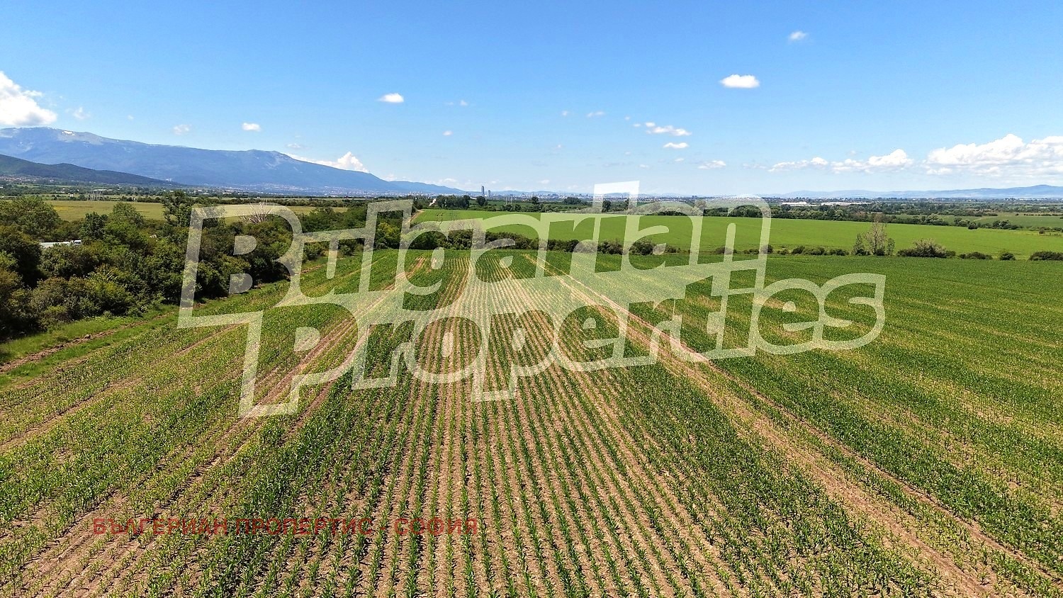 Продава ПАРЦЕЛ, гр. София, с. Лозен, снимка 5 - Парцели - 56123191
