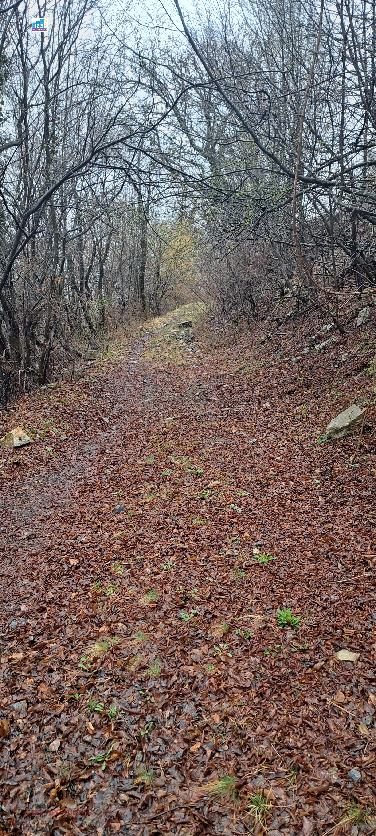 Продава КЪЩА | Imot.bg — изображение 15