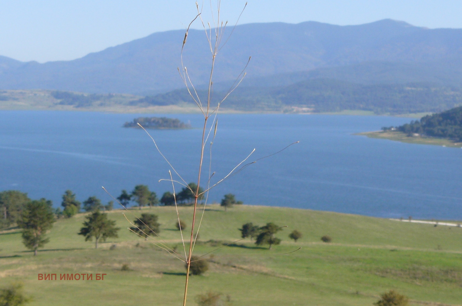 ������� ������ | Imot.bg � ����������� 7