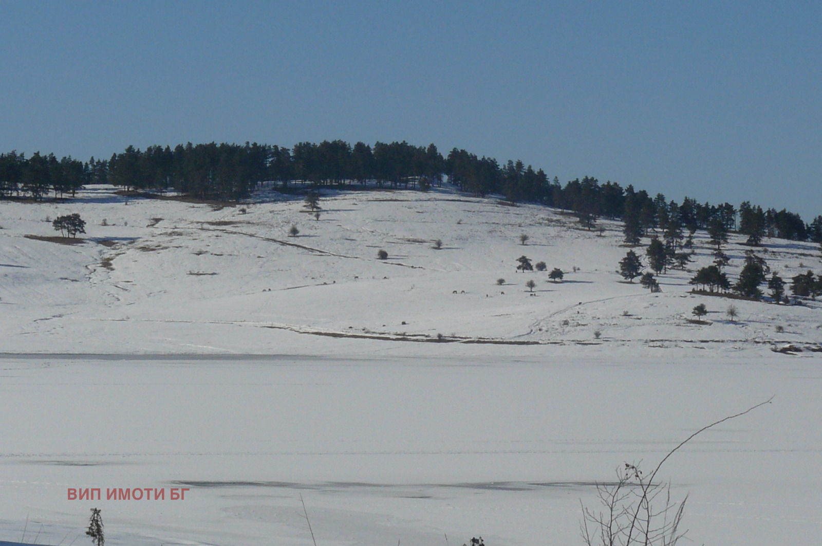 ������� ������ | Imot.bg � ����������� 12