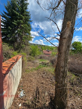 Grund Golemo Buchino, region Pernik 7