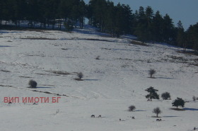 ������� ������ | Imot.bg � ����� ������ 11