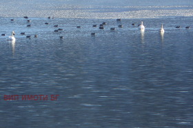 ������� ������ | Imot.bg � ����� ������ 8