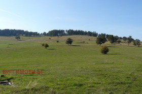 ����� ������� ������,�-� ����� ����, ������ ���������>