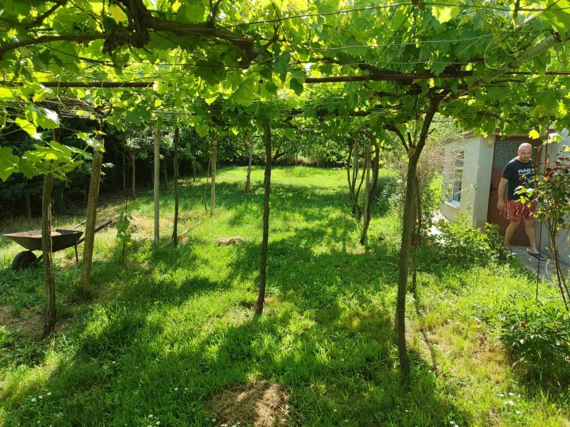 Zu verkaufen  Haus region Varna , Kitka , 120 qm | 58262940 - Bild [3]