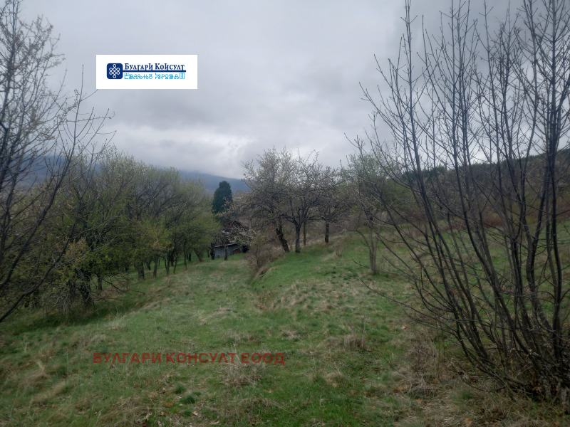 Продава  Къща област Кюстендил , с. Горна Брестница , 83 кв.м | 59554589 - изображение [17]