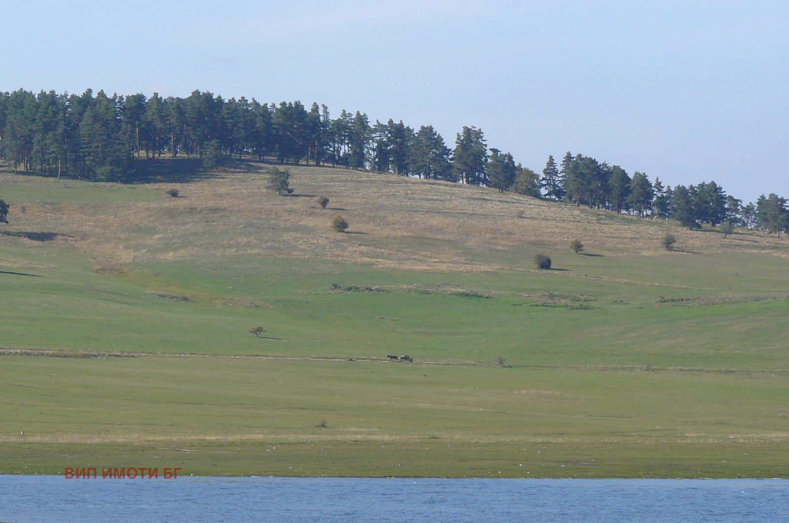 Продава ПАРЦЕЛ, м-т Цигов чарк, област Пазарджик, снимка 2 - Парцели - 53608708