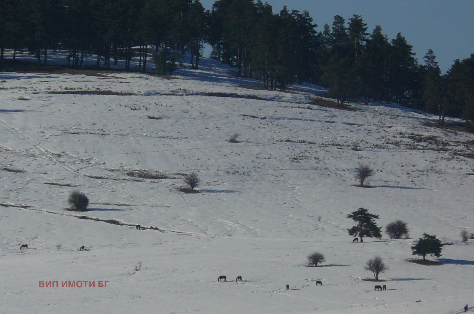 Продава ПАРЦЕЛ, м-т Цигов чарк, област Пазарджик, снимка 10 - Парцели - 53608708