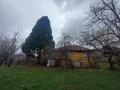 Продава КЪЩА, област Кюстендил, с. Горна Брестница • 30678 € • 93462895 — Holmes.bg