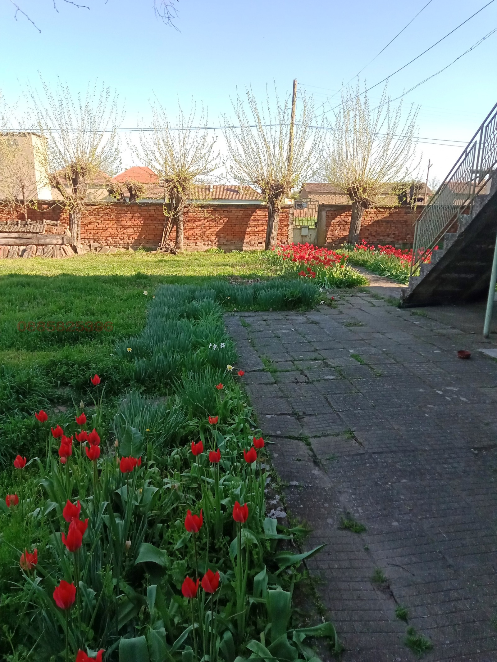 ������� ���� | Imot.bg � ����������� 1