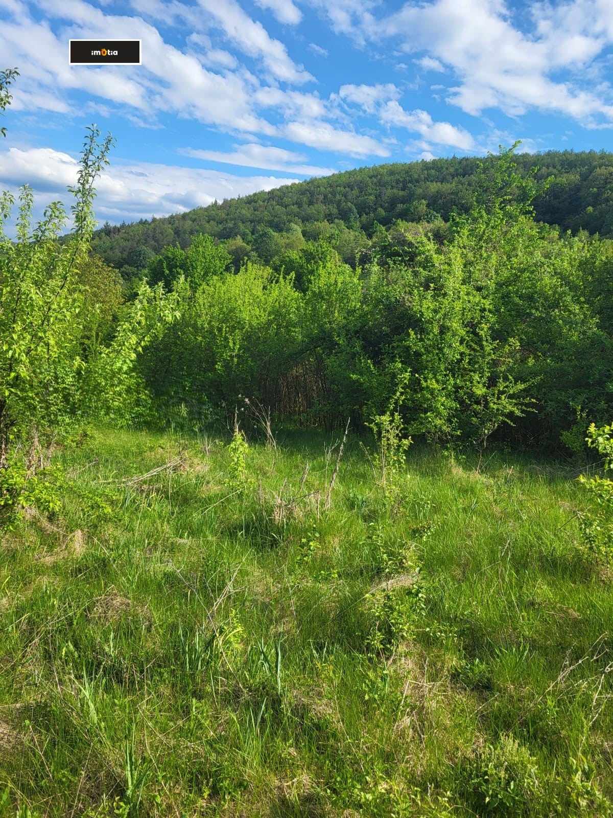 ������� ������ | Imot.bg � ����������� 1