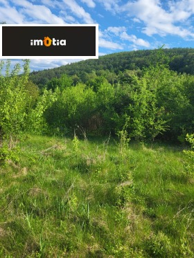 ������ ������� ������