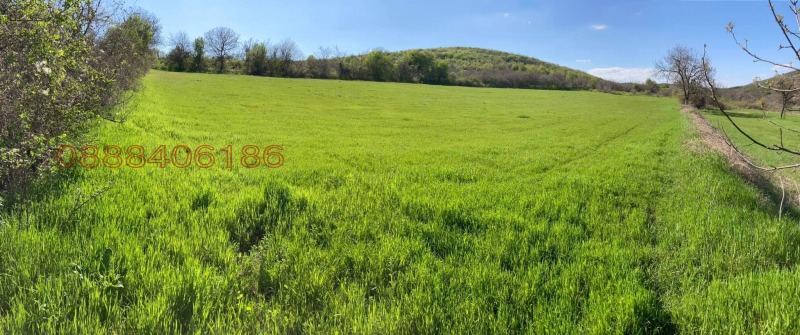 Продава ПАРЦЕЛ, с. Винарово, област Стара Загора, снимка 3 - Парцели - 52985002