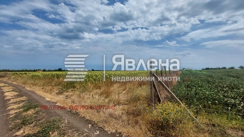 Προς πώληση  Οικόπεδο περιοχή Μπουργκάς , Πομορηε , 6000 τ.μ | 88870430 - εικόνα [5]