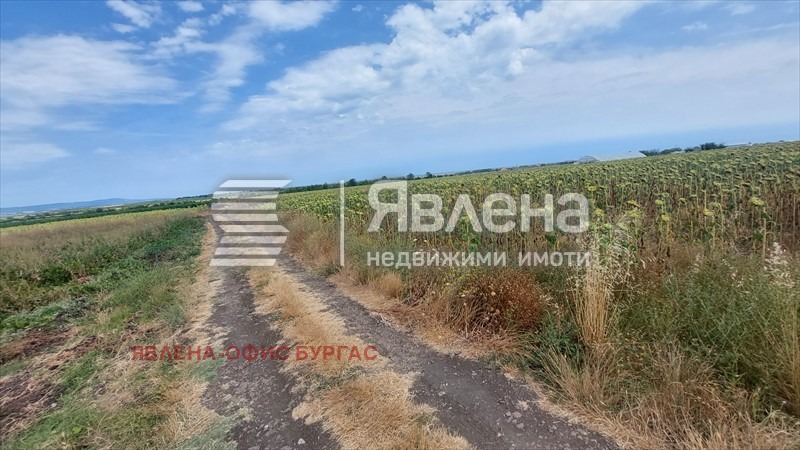 Προς πώληση  Οικόπεδο περιοχή Μπουργκάς , Πομορηε , 6000 τ.μ | 88870430 - εικόνα [4]