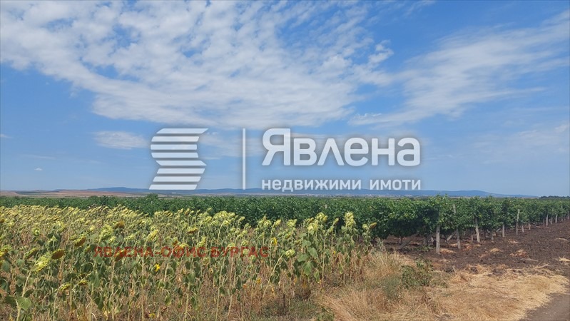 Προς πώληση  Οικόπεδο περιοχή Μπουργκάς , Πομορηε , 6000 τ.μ | 88870430 - εικόνα [6]