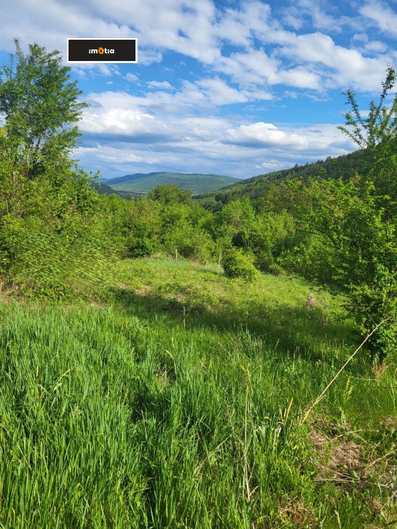 Продава ПАРЦЕЛ, с. Ломец, област Ловеч, снимка 2 - Парцели - 53042990