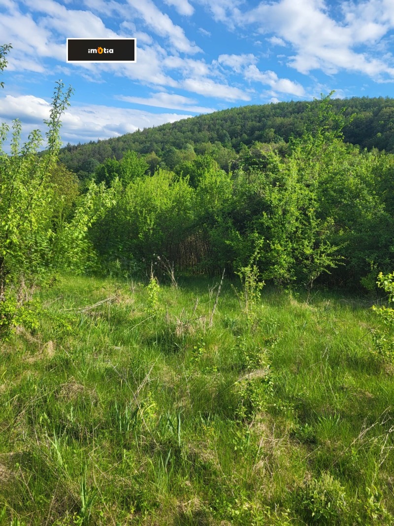 Продава ПАРЦЕЛ, с. Ломец, област Ловеч