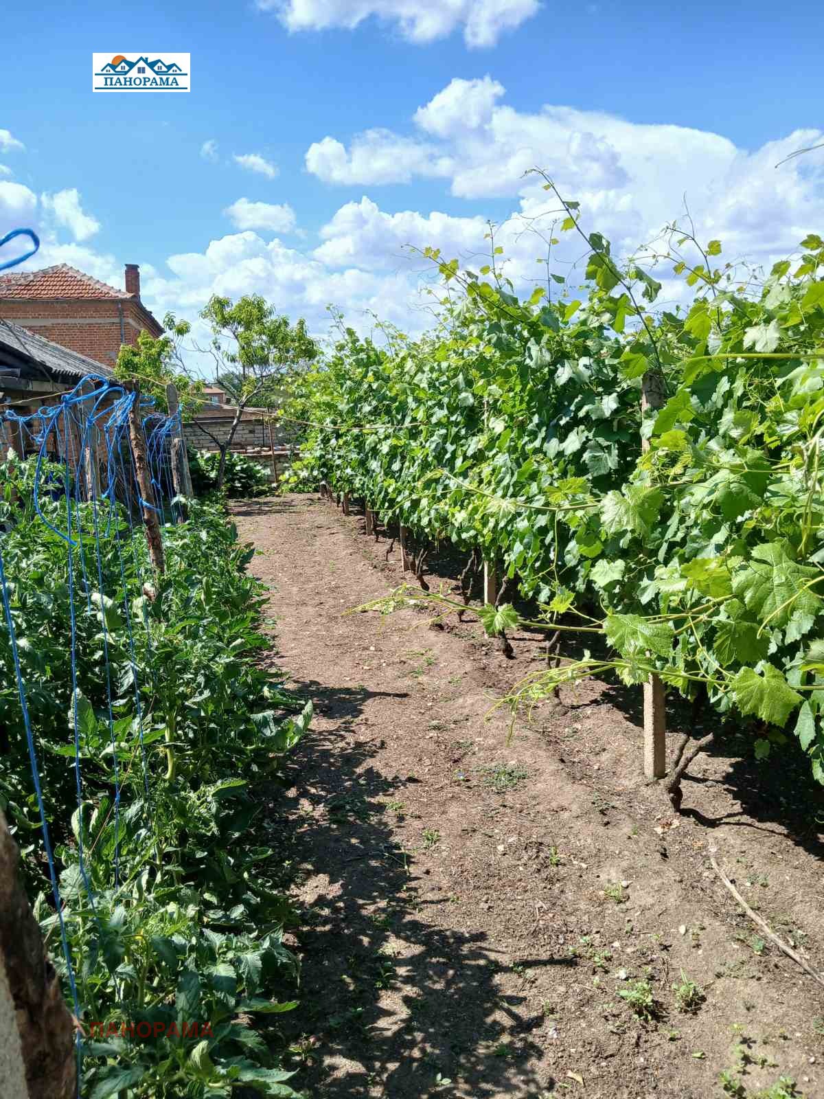 Продава КЪЩА, с. Шишманци, област Пловдив, снимка 5 - Къщи - 55131065