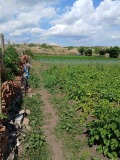 Продава КЪЩА, с. Шишманци, област Пловдив, снимка 4
