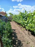Продава  Къща област Пловдив , с. Шишманци , 130 кв.м | 45247829 - изображение [5]