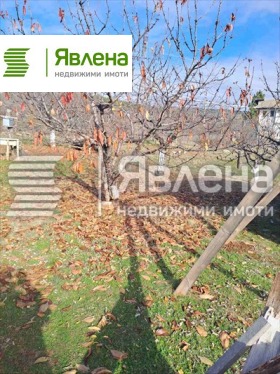 ����� ������� ������,�. ������, ������ �����