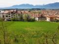 Продава ПАРЦЕЛ, област Благоевград, гр. Разлог • 49999 € • 48112401 — Holmes.bg
