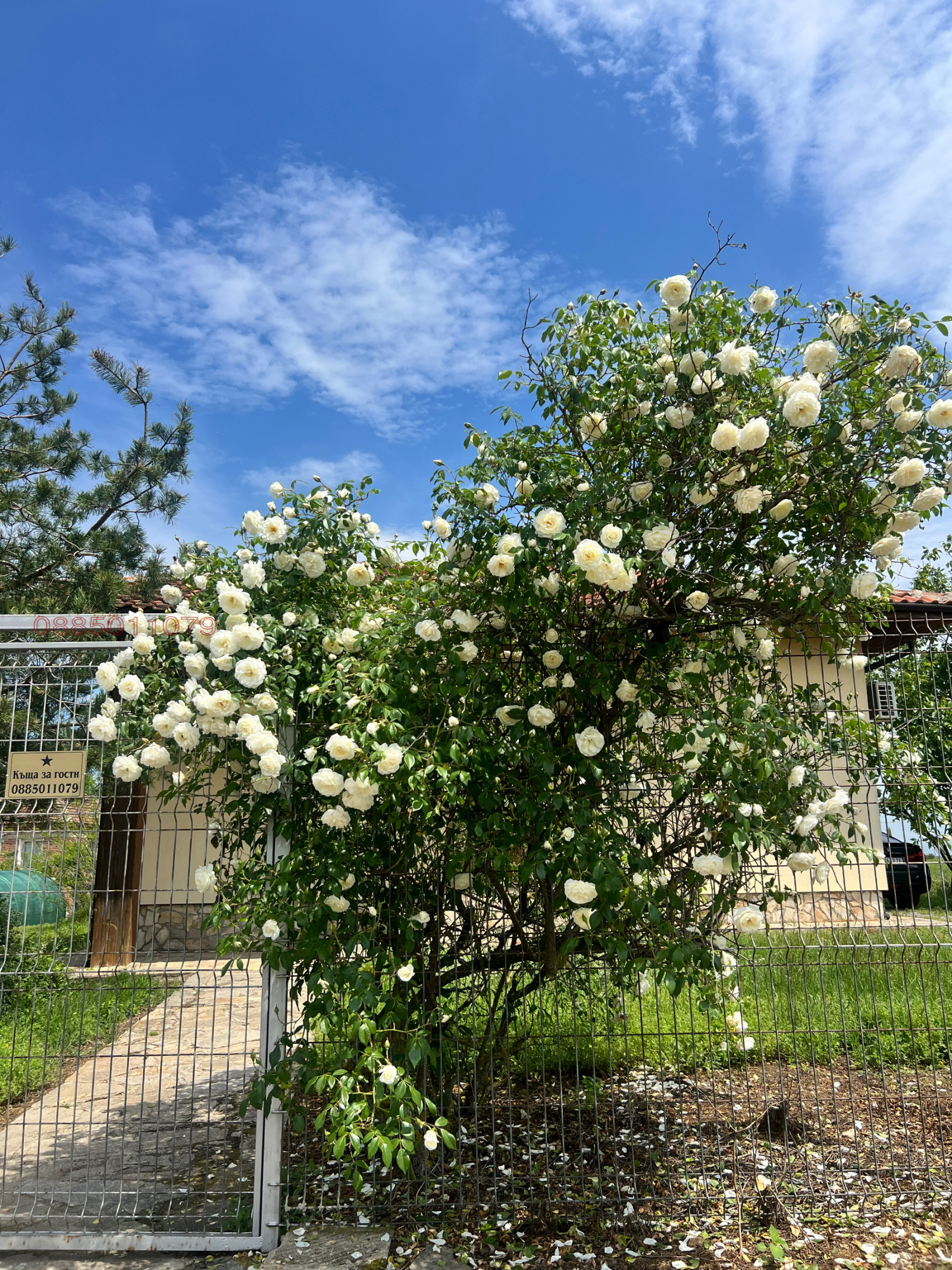 ������� ���� | Imot.bg � ����������� 9