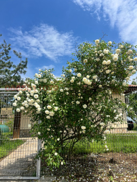 ������� ���� | Imot.bg � ����� ������ 9