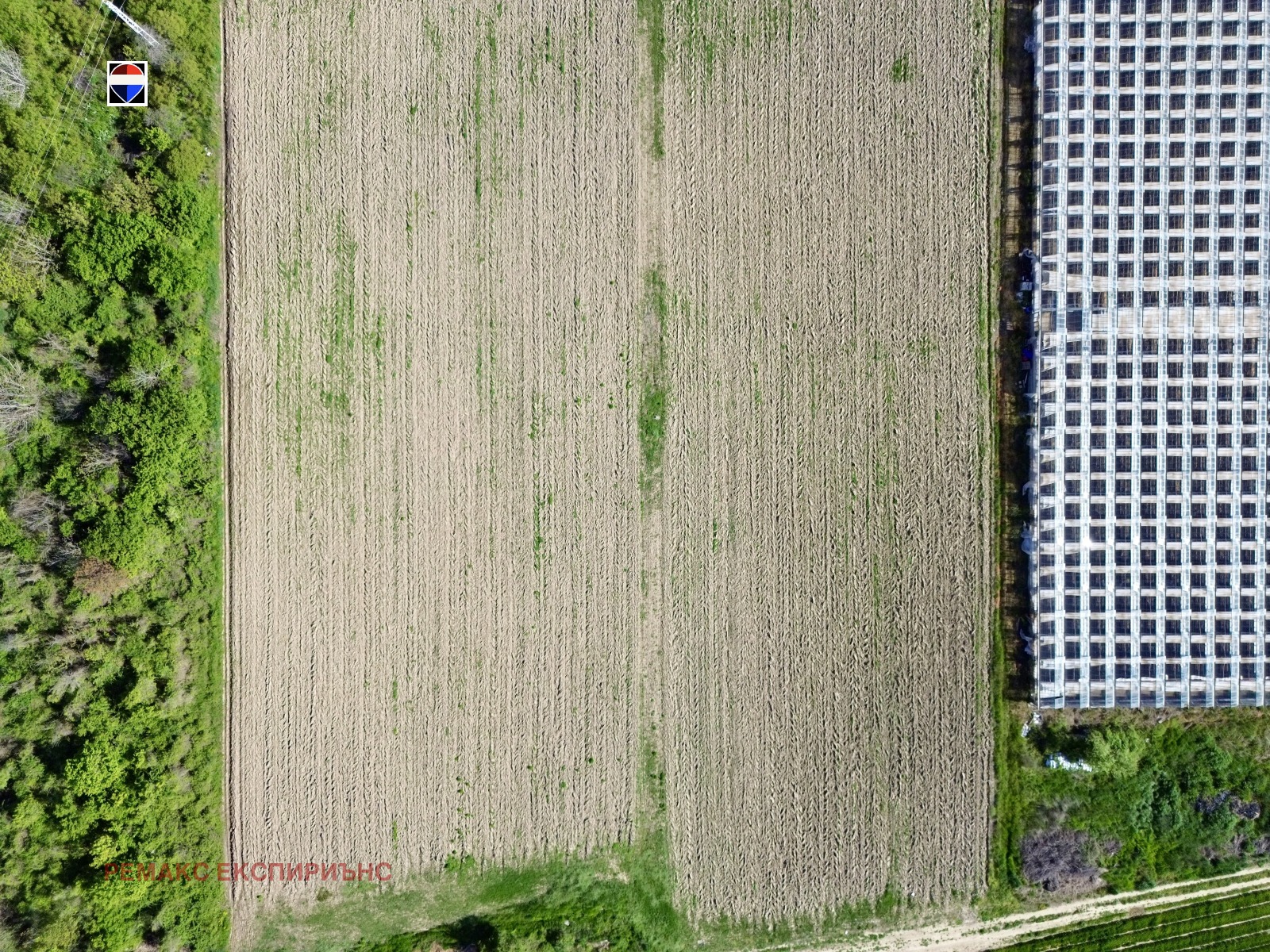 Продава ПАРЦЕЛ, гр. Пловдив, Пещерско шосе, снимка 4 - Парцели - 54325078