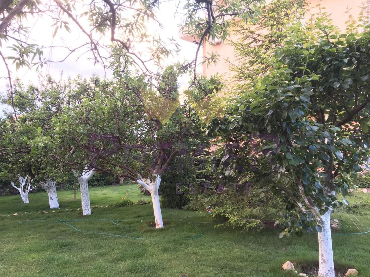 ������� ���� | Imot.bg � ����������� 11