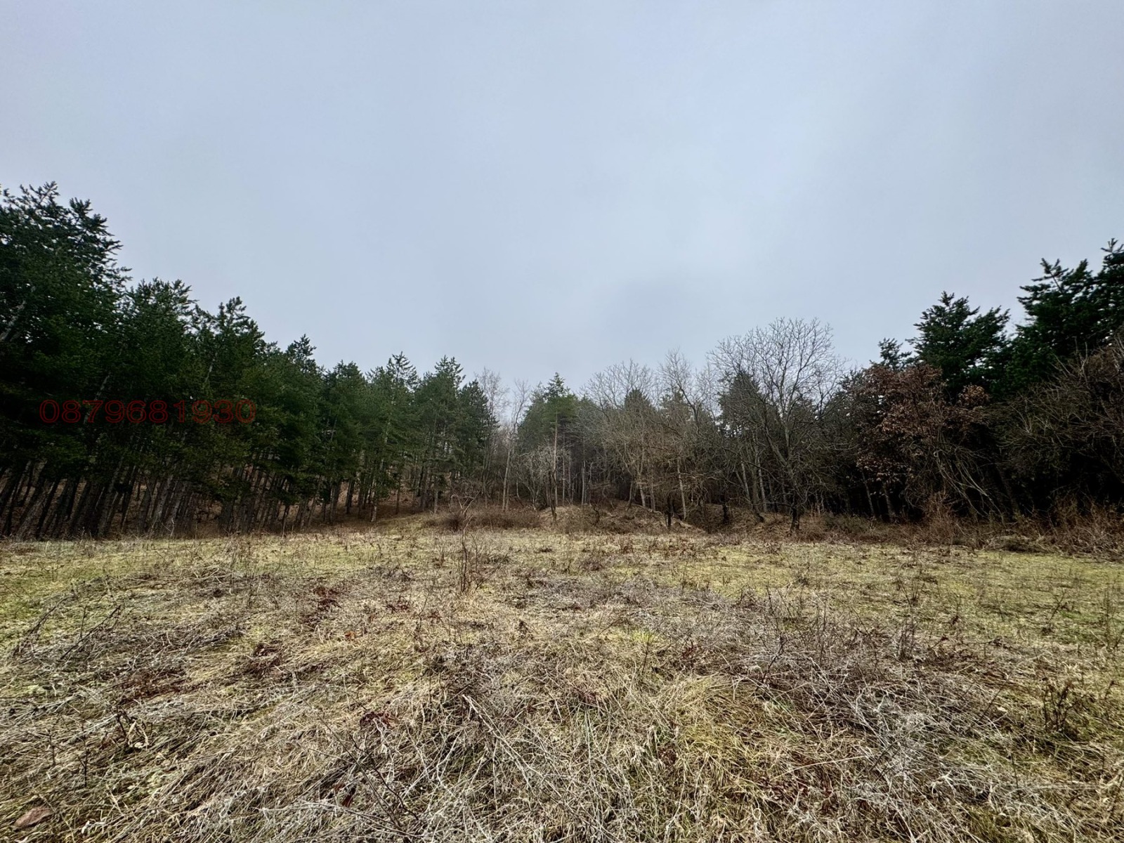 ������� ������ | Imot.bg � ����������� 2