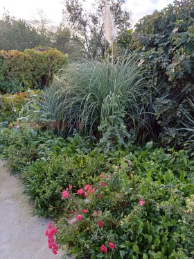 ������� ���� | Imot.bg � ����� ������ 15