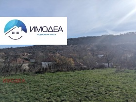 ����� ������� ������,�. ����������, ������ �������