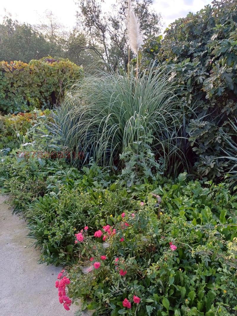 Продава КЪЩА, с. Рисиманово, област Стара Загора, снимка 15 - Къщи - 52779404