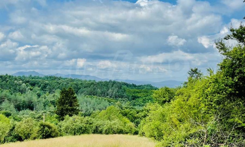 Продава ПАРЦЕЛ, гр. Елена, област Велико Търново, снимка 13 - Парцели - 52420984