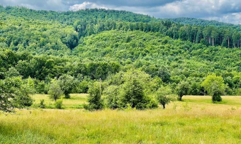 Продава ПАРЦЕЛ, гр. Елена, област Велико Търново, снимка 4 - Парцели - 52420984