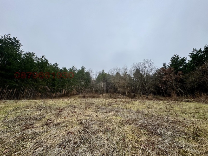 Продава ПАРЦЕЛ, с. Тополово, област Пловдив, снимка 3 - Парцели - 53313058