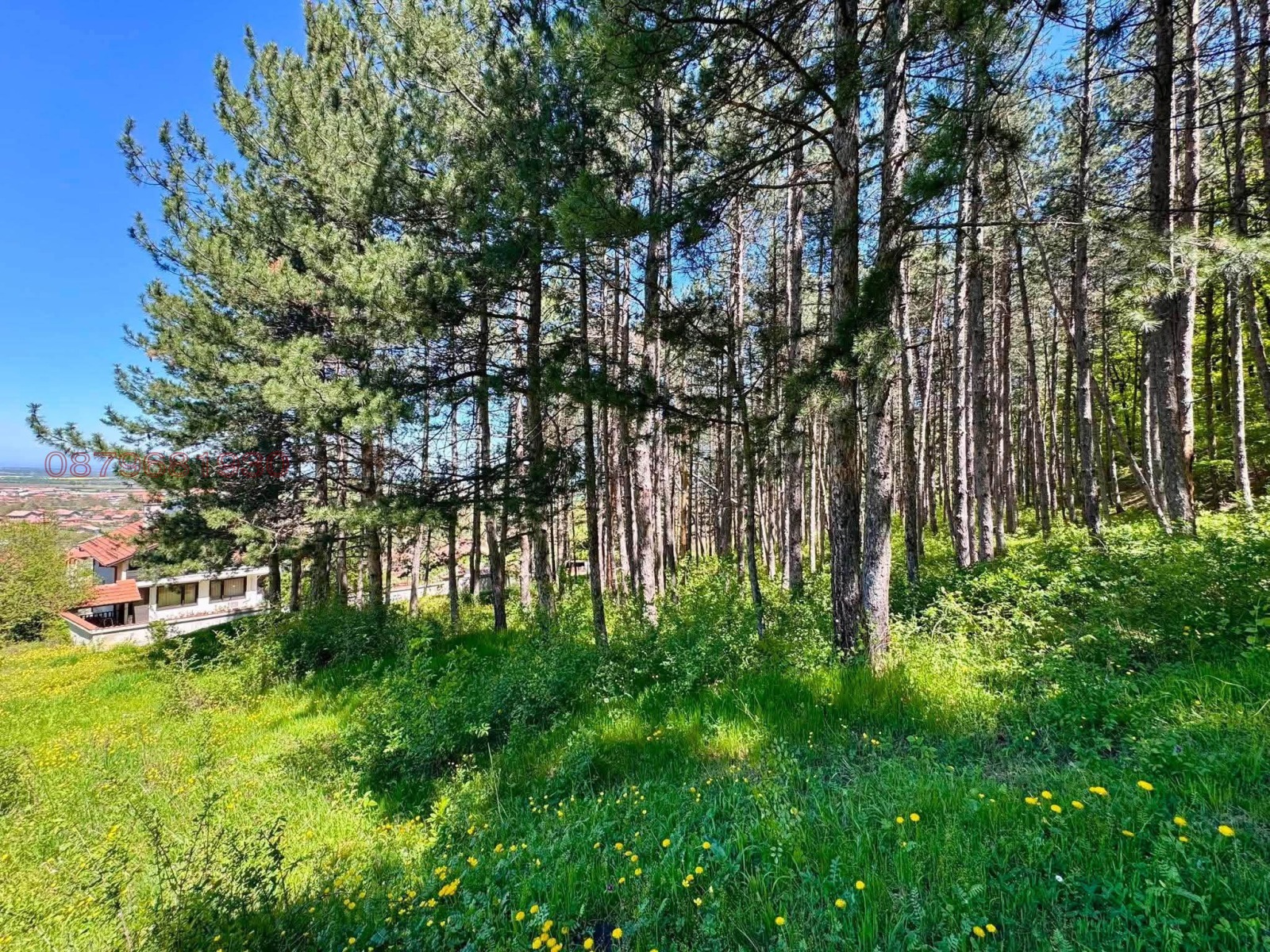 Продава ПАРЦЕЛ, с. Тополово, област Пловдив, снимка 6 - Парцели - 56612274