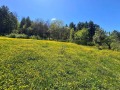 Продава ПАРЦЕЛ, с. Тополово, област Пловдив, снимка 5