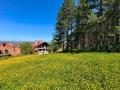 Продава ПАРЦЕЛ, с. Тополово, област Пловдив, снимка 4
