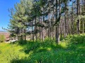 Продава  Парцел област Пловдив , с. Тополово , 1280 кв.м | 69163625 - изображение [6]
