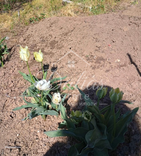 ������� ���� | Imot.bg � ����� ������ 5