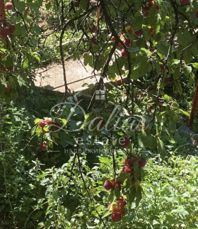 ������� ���� | Imot.bg � ����� ������ 4