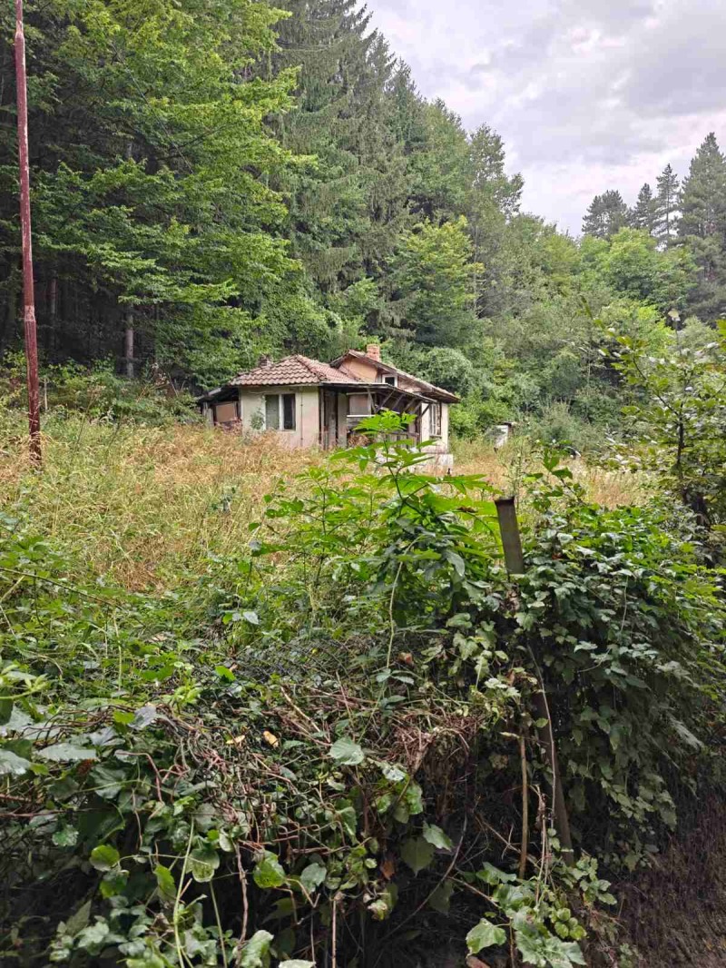 Продава  Парцел, град София, гр. Банкя •  269 000 € • ID 39017790 — holmes.bg - [1] 