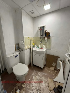 ����� ������� �����,���� �������, ������