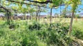 Продава КЪЩА, област Пловдив, с. Ръжево Конаре • 29000 € • 72482726 — Holmes.bg