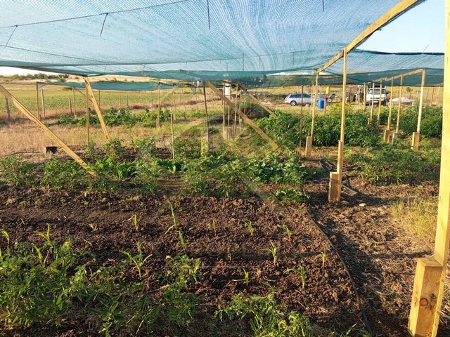 ������� ������ | Imot.bg � ����������� 2