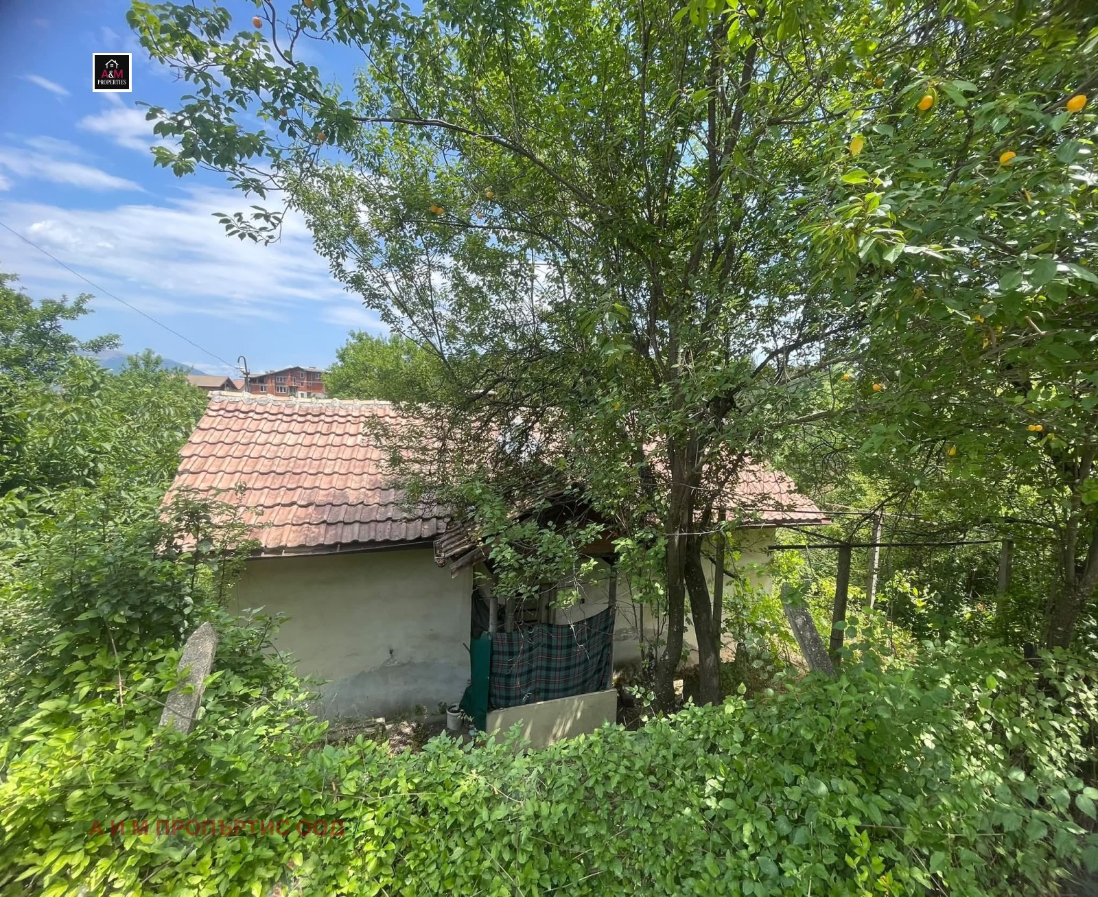 ������� ���� | Imot.bg � ����������� 2